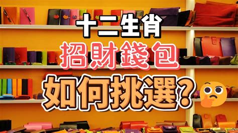 钱包颜色风水2024|2024年錢包開運快看！3色系最旺財 1色最慘花錢如流水